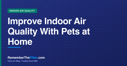 Improve Indoor Air Quality With Pets at Home