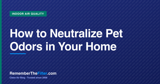 How to Neutralize Pet Odors in Your Home