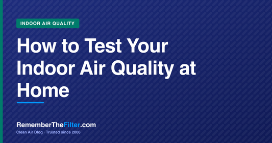 How to Test Your Indoor Air Quality at Home