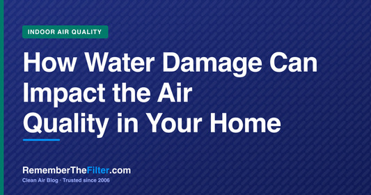 How Water Damage Can Impact the Air Quality in Your Home