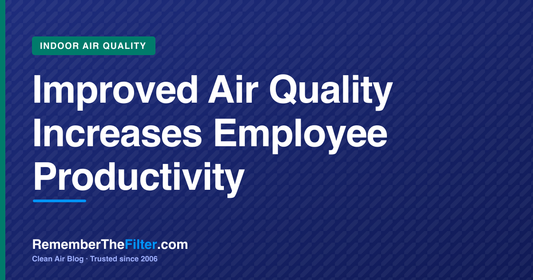 Improved Air Quality Increases Employee Productivity