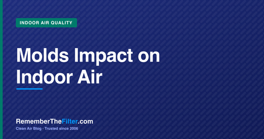 Molds Impact on Indoor Air