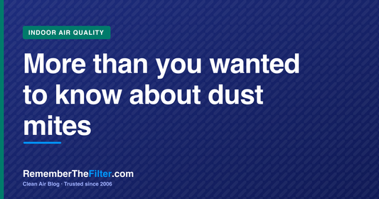 More than you wanted to know about dust mites