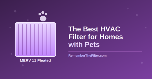 Best HVAC Filter for Homes with Pets: MERV Guide