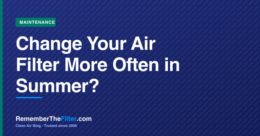 Change Your Air Filter More Often in Summer?