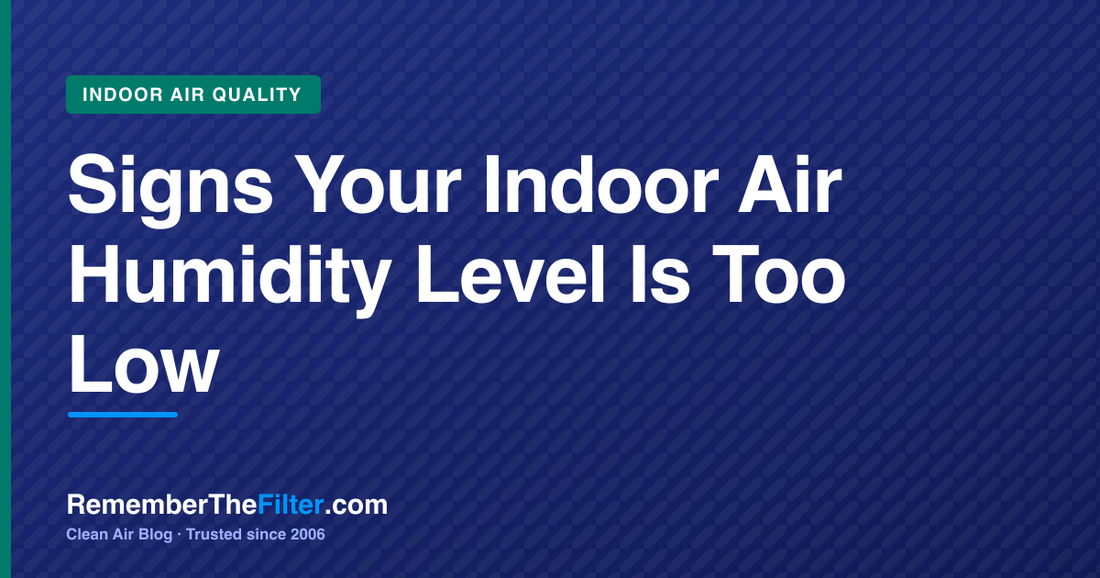 Signs Your Indoor Air Humidity Level Is Too Low