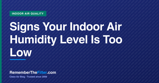 Signs Your Indoor Air Humidity Level Is Too Low