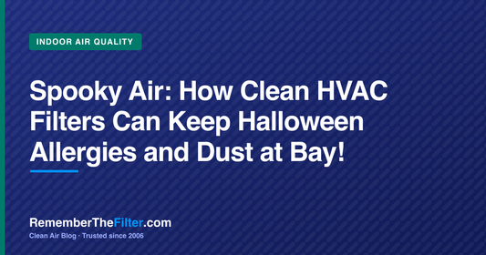 Spooky Air: How Clean HVAC Filters Can Keep Halloween Allergies and Dust at Bay!