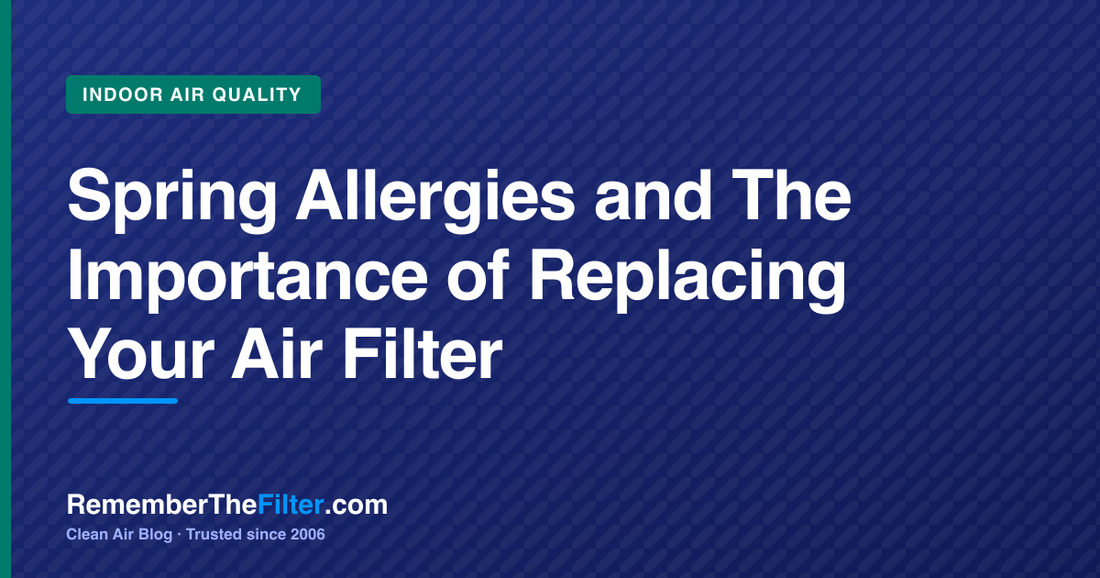 Spring Allergies and The Importance of Replacing Your Air Filter