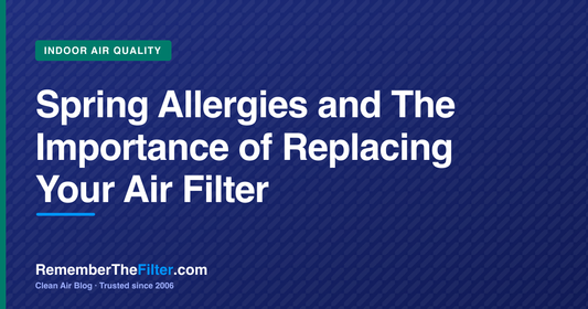 Spring Allergies and The Importance of Replacing Your Air Filter