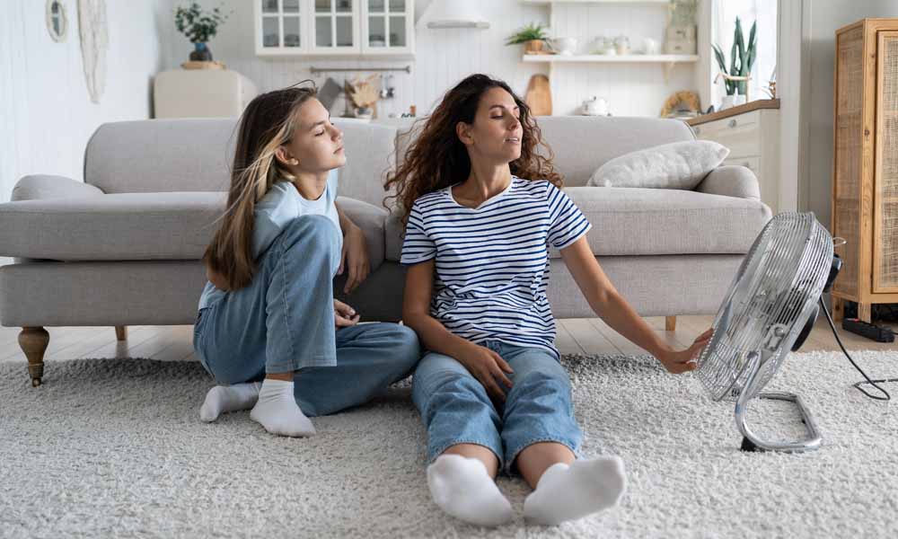 Controlling Humidity for a Comfortable Summer: High-Quality Pleated Ai