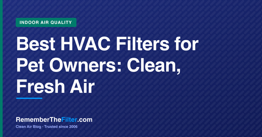 Best HVAC Filters for Pet Owners: Clean, Fresh Air