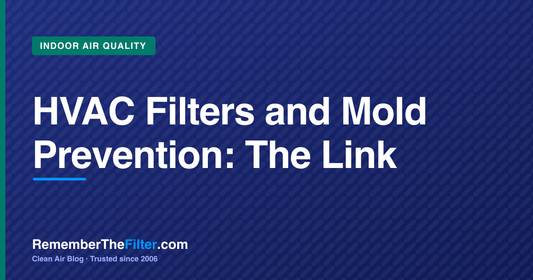 HVAC Filters and Mold Prevention: The Link