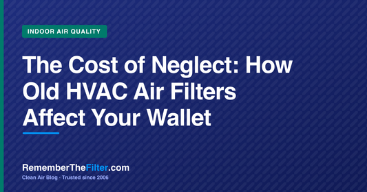 The Cost of Neglect: How Old HVAC Air Filters Affect Your Wallet