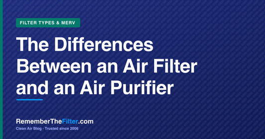The Differences Between an Air Filter and an Air Purifier