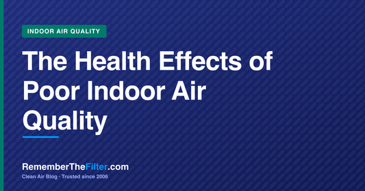 The Health Effects of Poor Indoor Air Quality