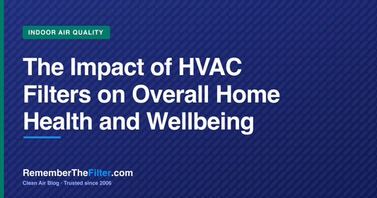 The Impact of HVAC Filters on Overall Home Health and Wellbeing