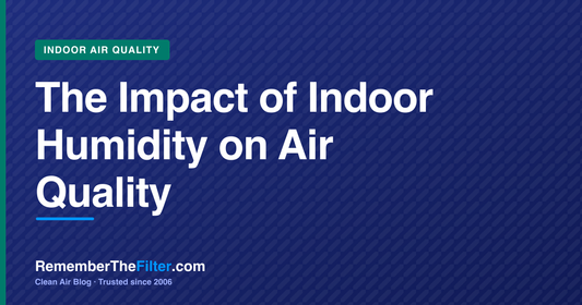 The Impact of Indoor Humidity on Air Quality