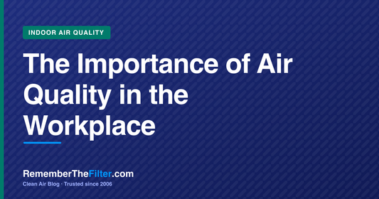 The Importance of Air Quality in the Workplace