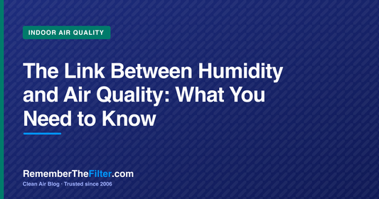 The Link Between Humidity and Air Quality: What You Need to Know