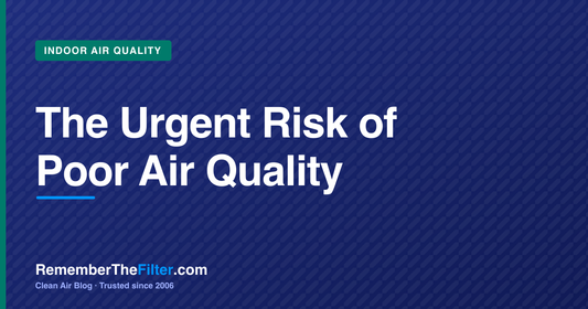 The Urgent Risk of Poor Air Quality