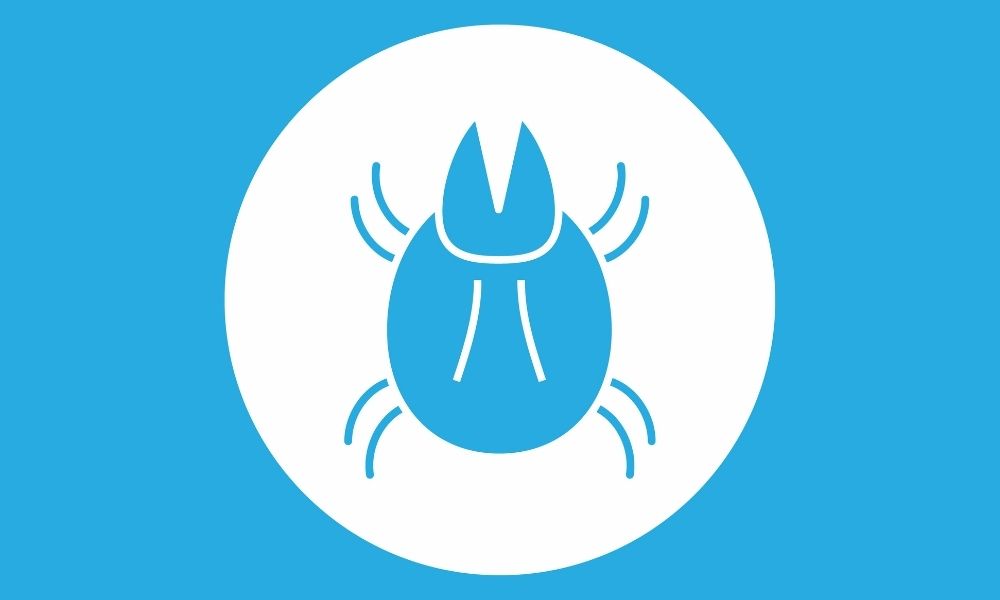 Everything You Need To Know About Dust Mites