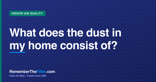 What does the dust in my home consist of?