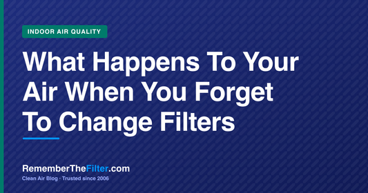 What Happens To Your Air When You Forget To Change Filters