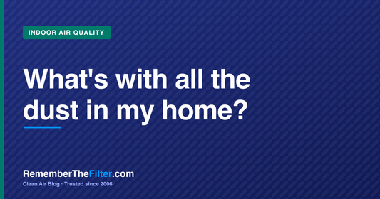 What's with all the dust in my home?