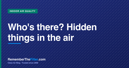 Who's there? Hidden things in the air
