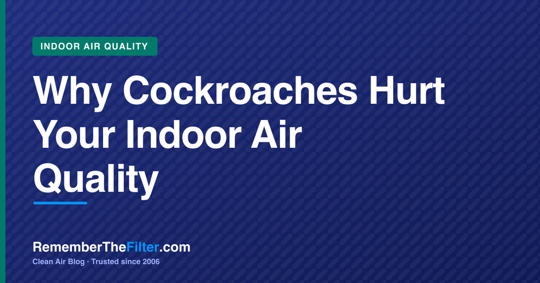 Why Cockroaches Hurt Your Indoor Air Quality