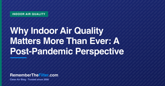 Why Indoor Air Quality Matters More Than Ever: A Post-Pandemic Perspective