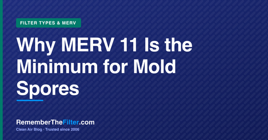 Why MERV 11 Is the Minimum for Mold Spores