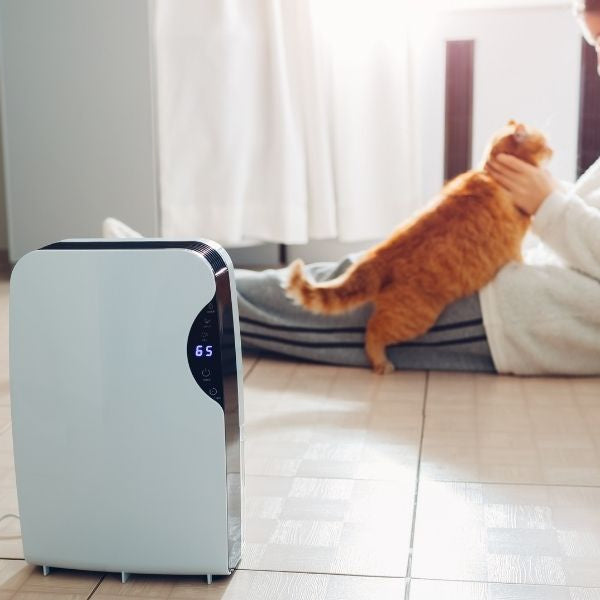 How To Improve Your Indoor Air Quality With Pets at Home