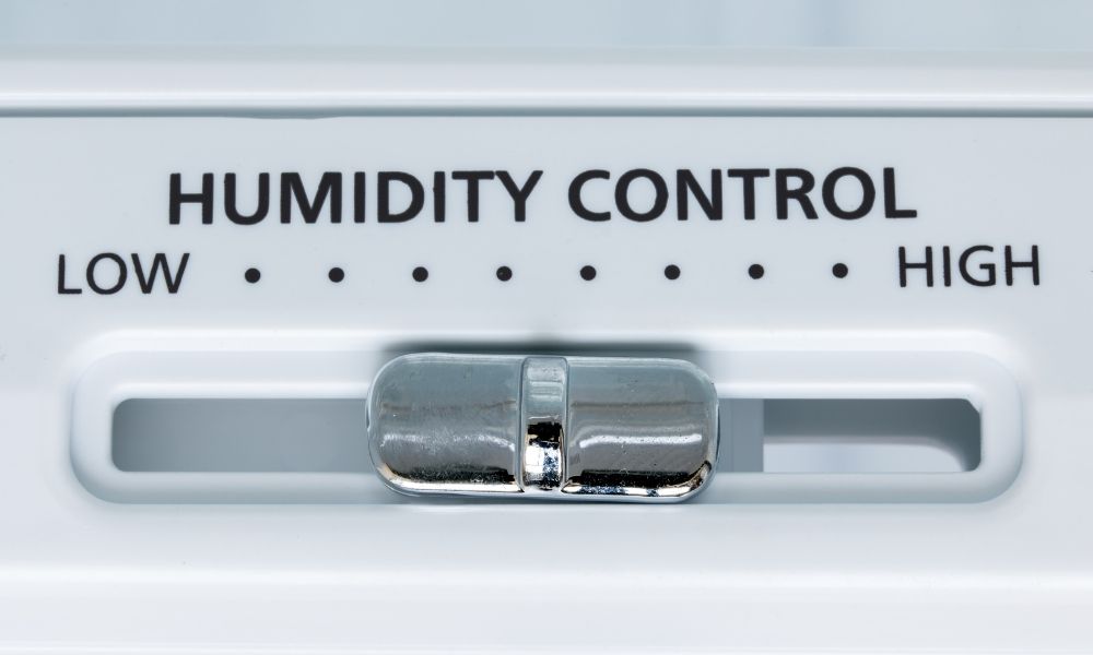 Signs Your Home Has a High Indoor Humidity Level