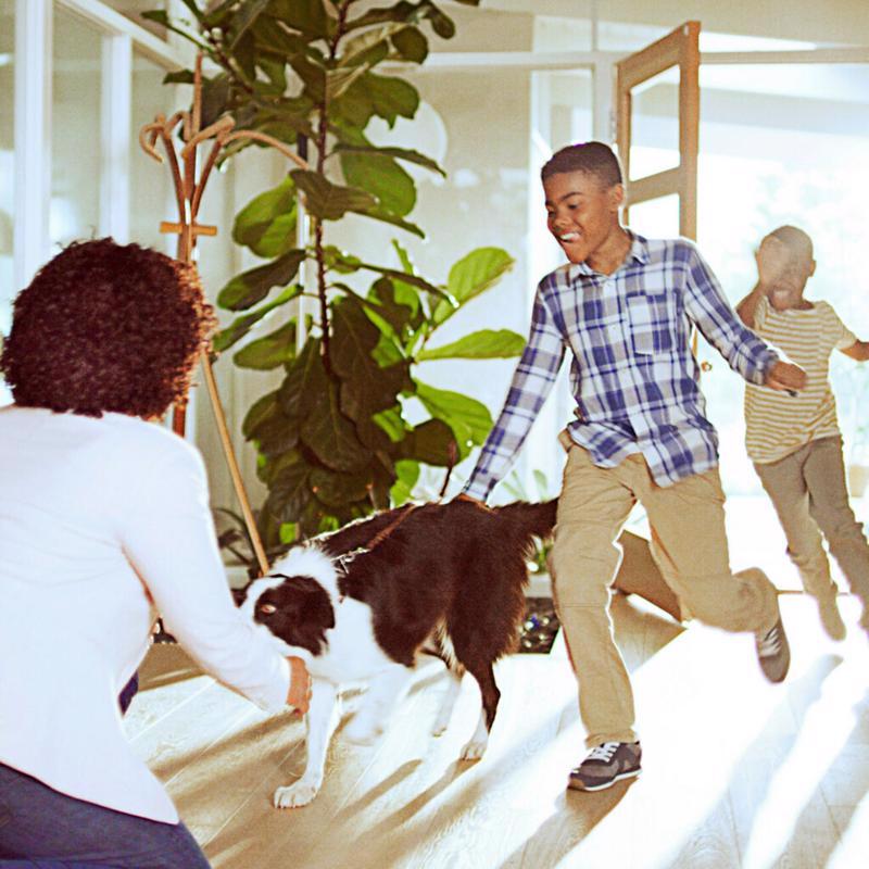 Filtrete™ Basic Dust Reduction Filter (MPR 300) — View 7
