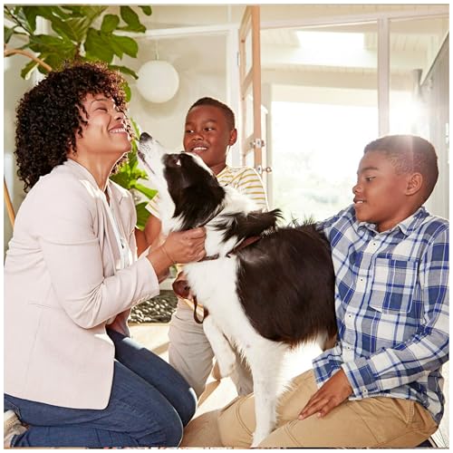 Filtrete AC Furnace Air Filter, MERV 12, MPR 1500, CERTIFIED asthma & allergy friendly, 3 Month Pleated 1-Inch Electrostatic Air Cleaning Filter, 6-Pack