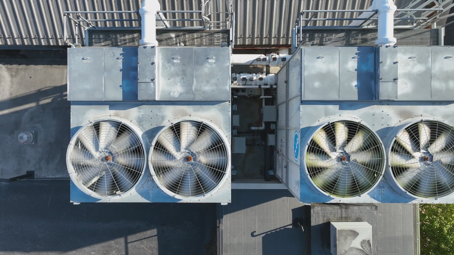 Load video: Ignite theme