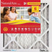 Flanders AAF Pleated Filter 10x10x1 Naturalaire Microparticle MERV 10 Filters (6 pack)